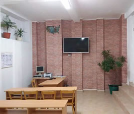 sala legislatie